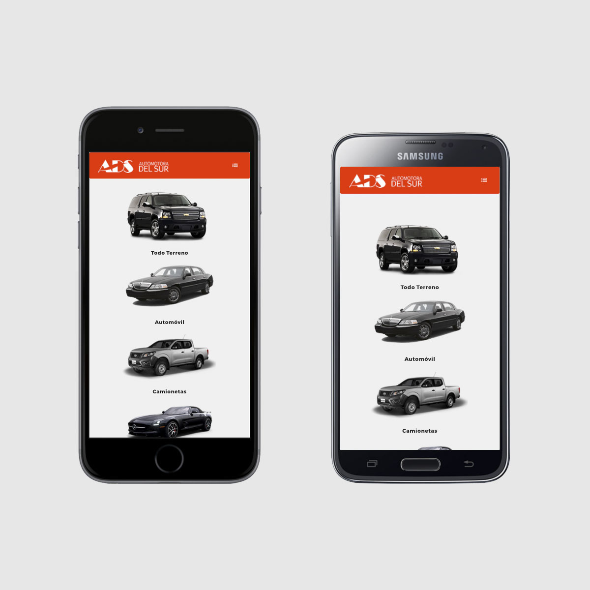 Sistema Fácil - Portafolio Automotora del Sur