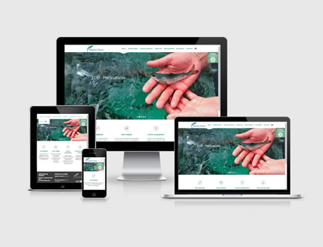 Sistema Fácil - Servicio Diseño web Profesional